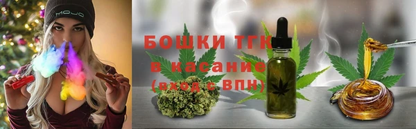 шишки Беломорск