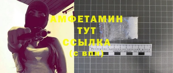 шишки Беломорск