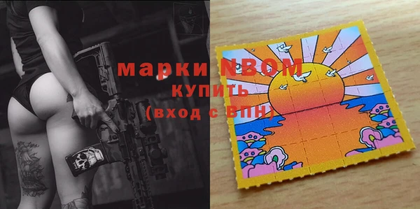 шишки Беломорск
